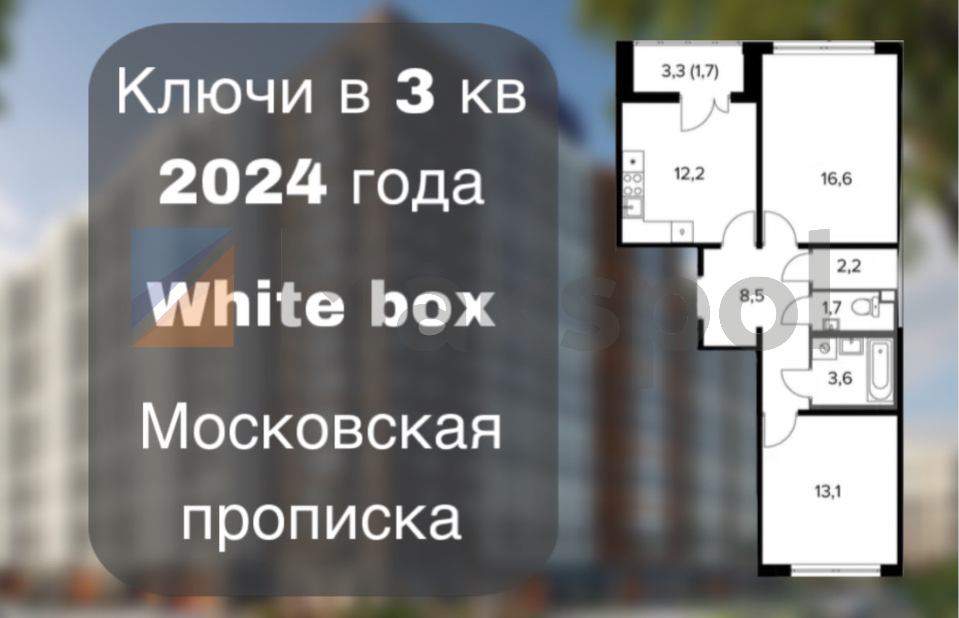 White box! Московская прописка! 9